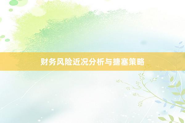 财务风险近况分析与搪塞策略